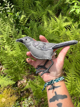 Embroidered Gray Catbird