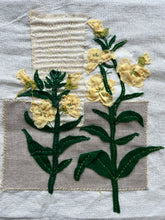 Embroidered Plantscape: Evening Primrose