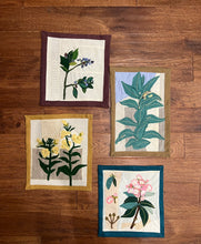 Embroidered Plantscape: Milkweed