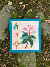 Embroidered Plantscape: Mountain Laurel