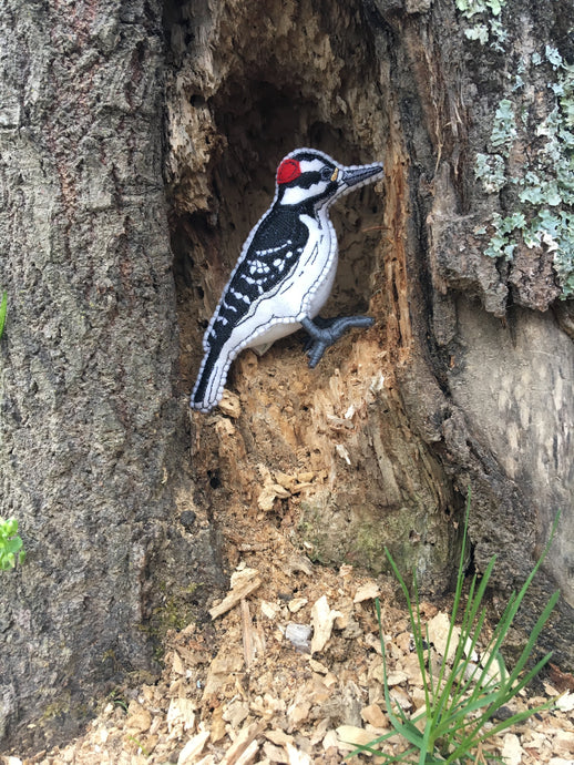 Felt Hairy Woodpecker