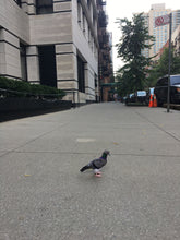 Felt Pigeon