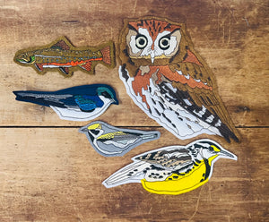 Embroidered Golden-winged Warbler