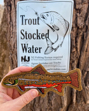 Brook Trout Embroidered Patch